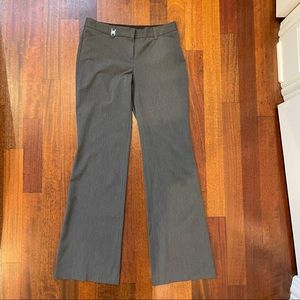Express Editor Dress Pant in Charcoal (tall sizing) - 4L